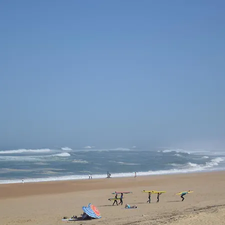 Classe 2 Etoiles A Hossegor En Front De Mer, Centrale, Avec Vue Magnifique Sur L'ocean