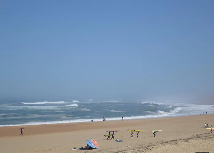 Classe 2 Etoiles A Hossegor En Front De Mer, Centrale, Avec Vue Magnifique Sur L'ocean